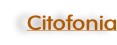Citofonia